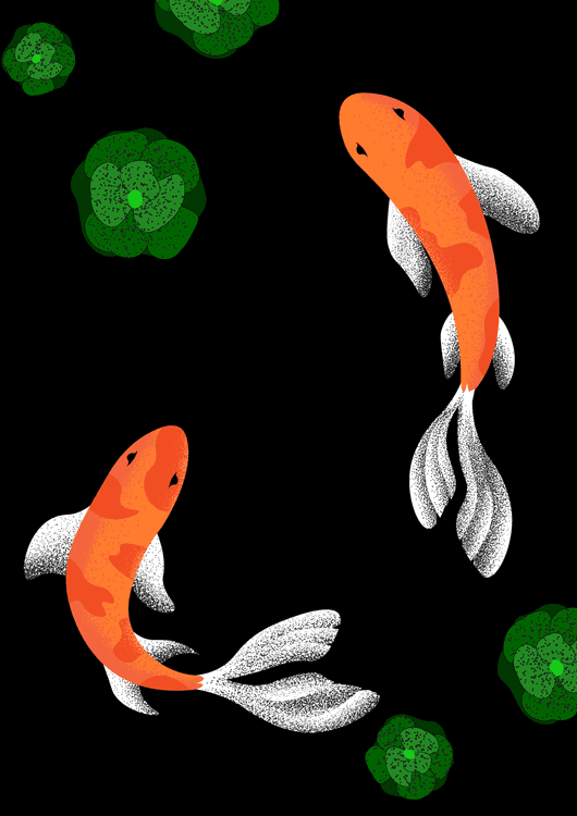 ORANGE or FISH preview
