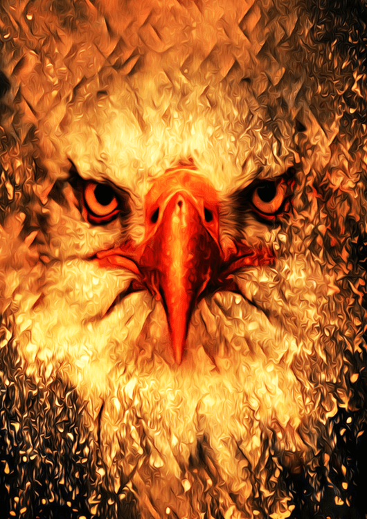 Eagle Art preview