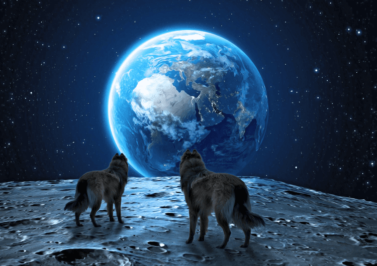 Moon Wolves preview