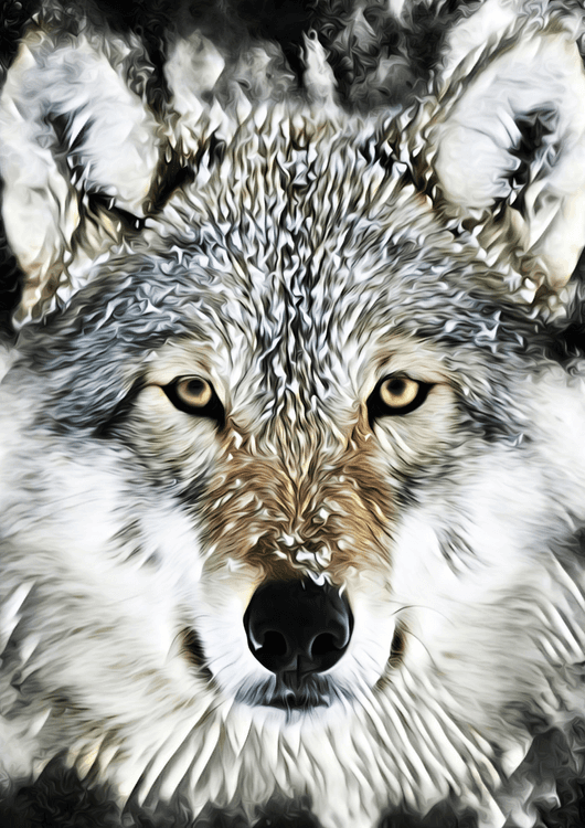 Wolf Art preview