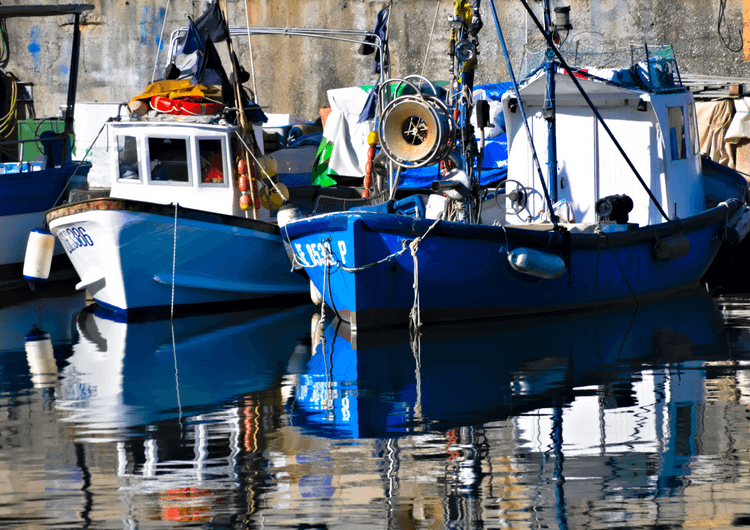 Genoa boats preview