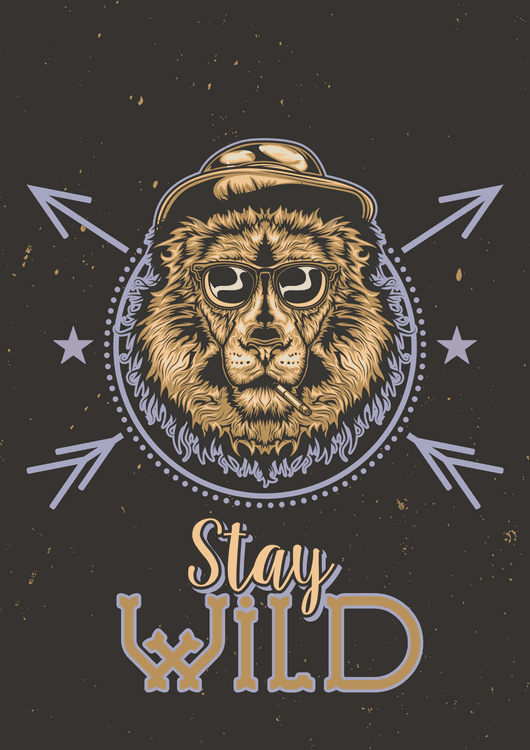 Hippy Lion Canvas preview