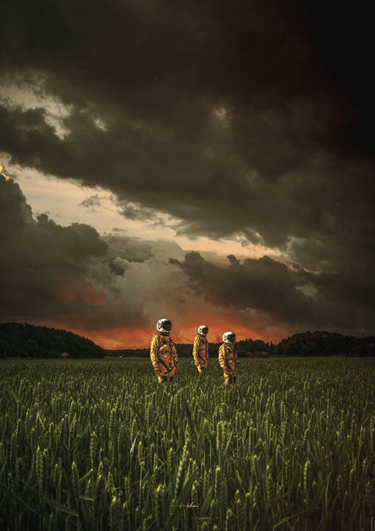 Everything is fields preview