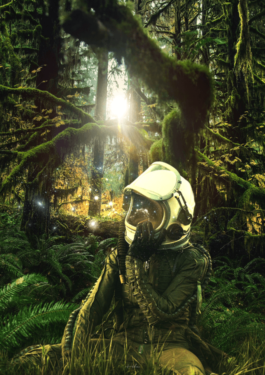 Take the Trails preview