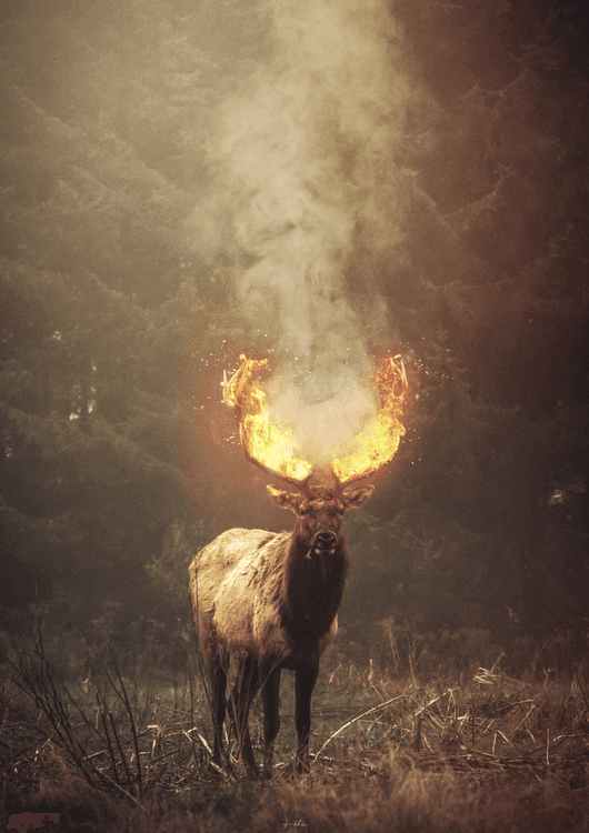 When she awoke, the world was on fire preview