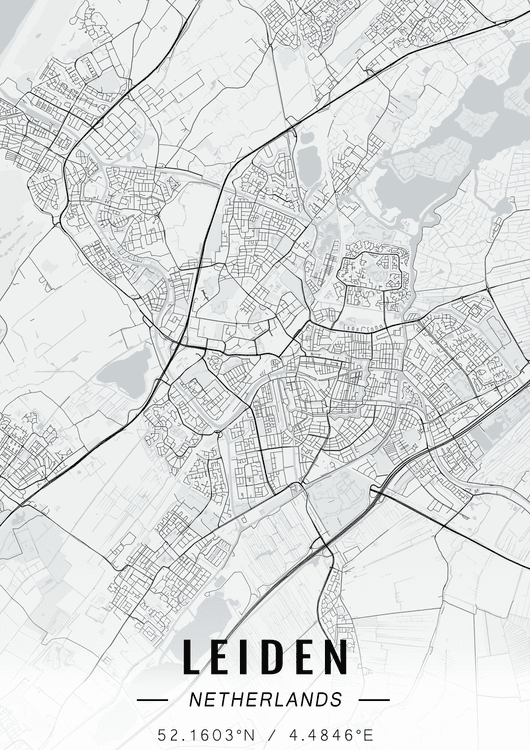Leiden map preview