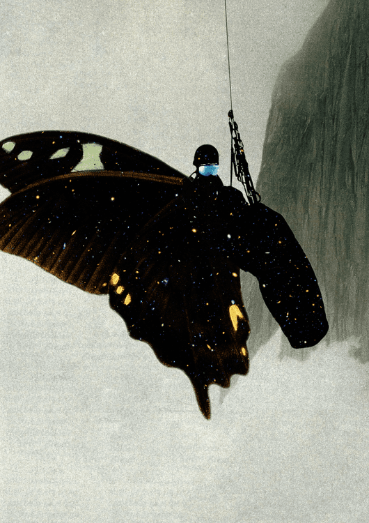 Butterfly preview