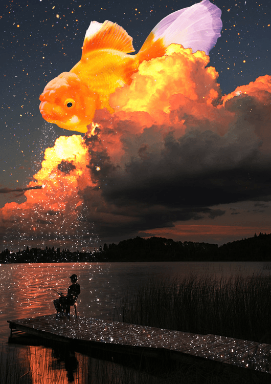 Goldfish preview