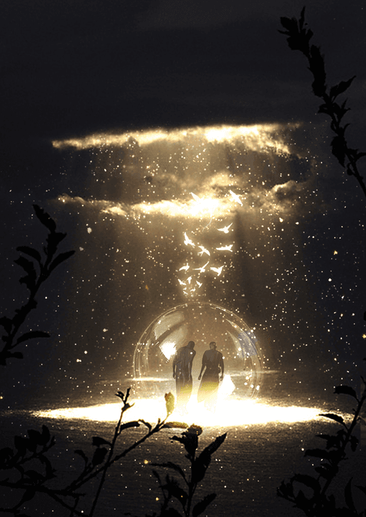 Light preview