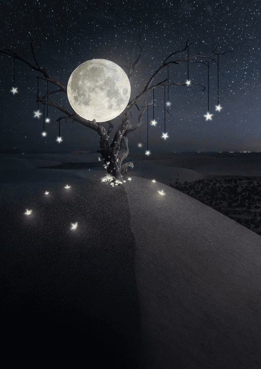 Star falling tree preview