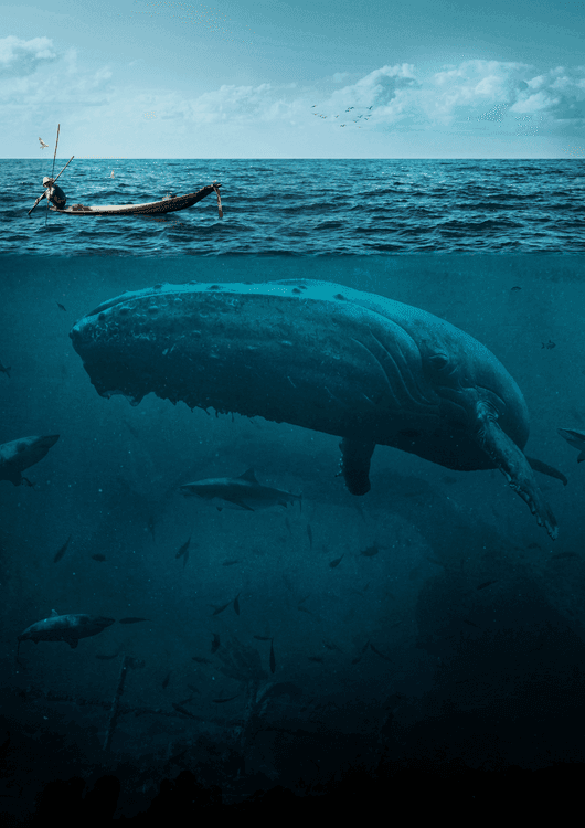 The Big Whale preview