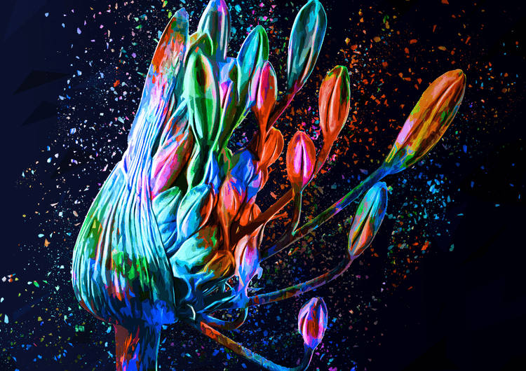 Colored Flower preview