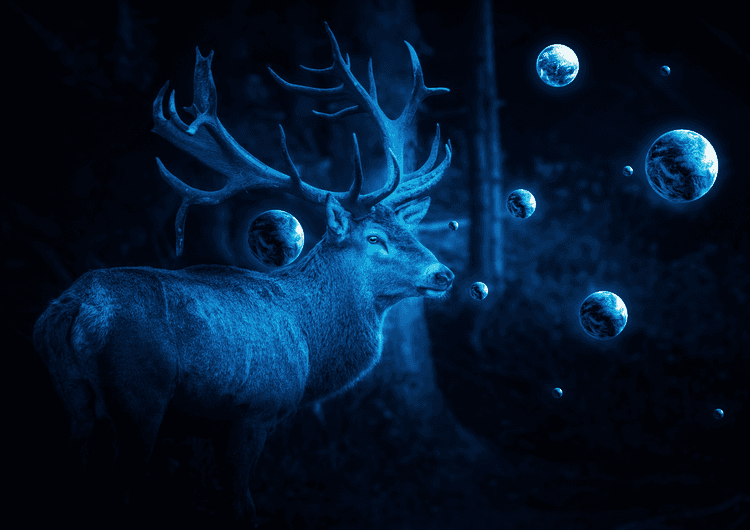 Deer Cosmos preview