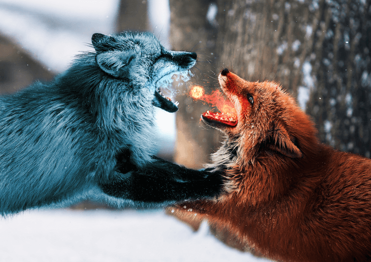 Fire vs. Ice preview