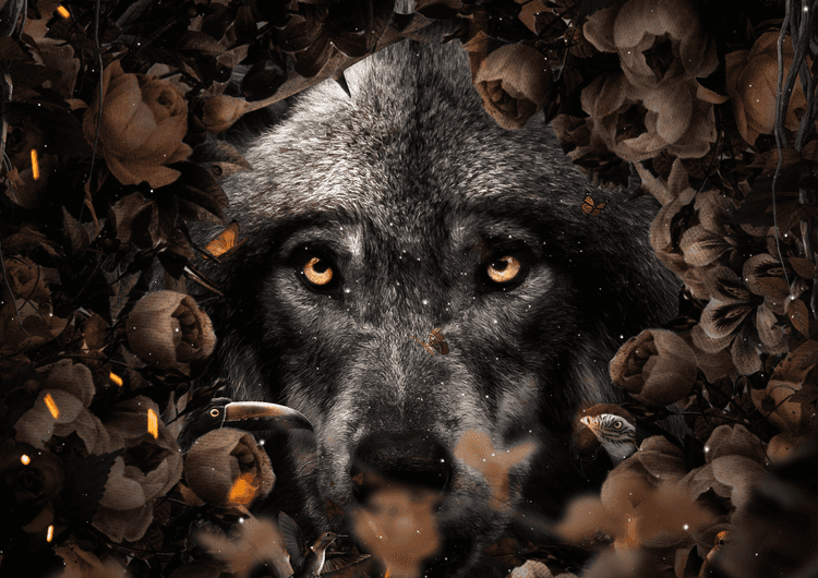 Floral Wolf preview