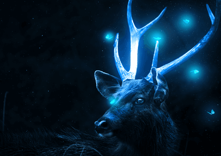 Glowing Dear preview