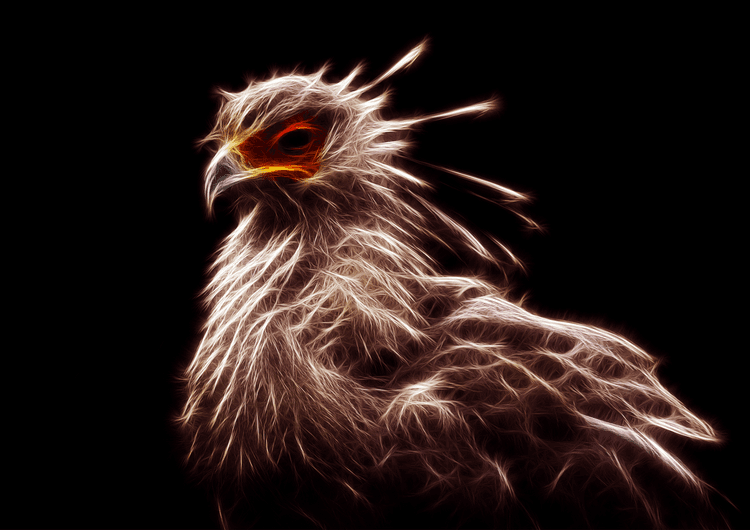 Glowing Phoenix preview