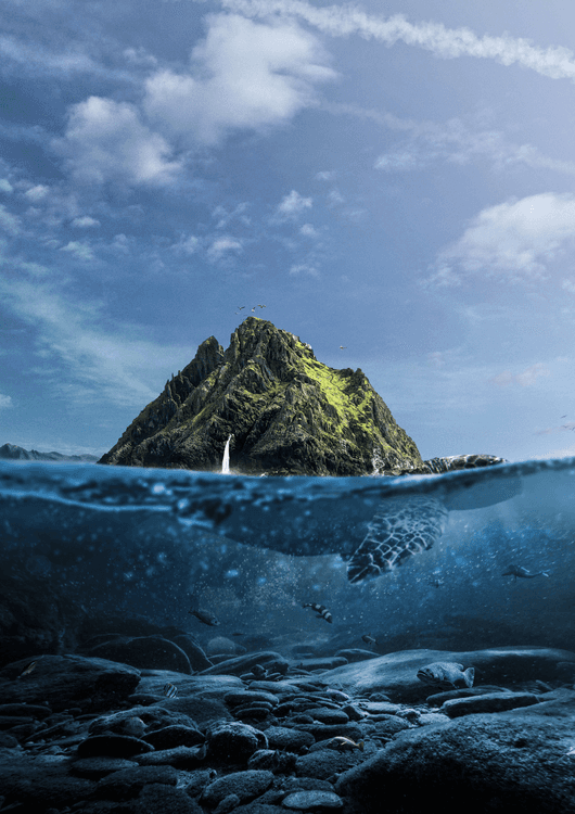 Land of Turtle preview