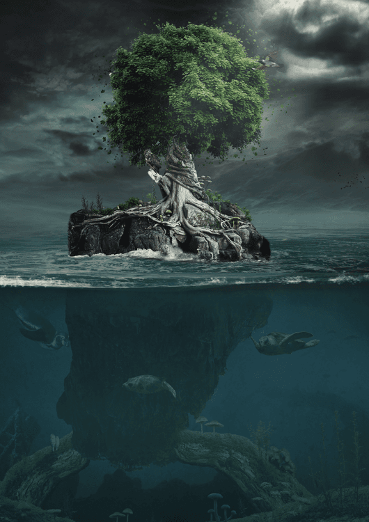 Magic Tree preview