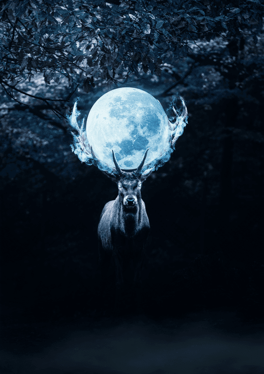 Mysterious Deer in Night preview