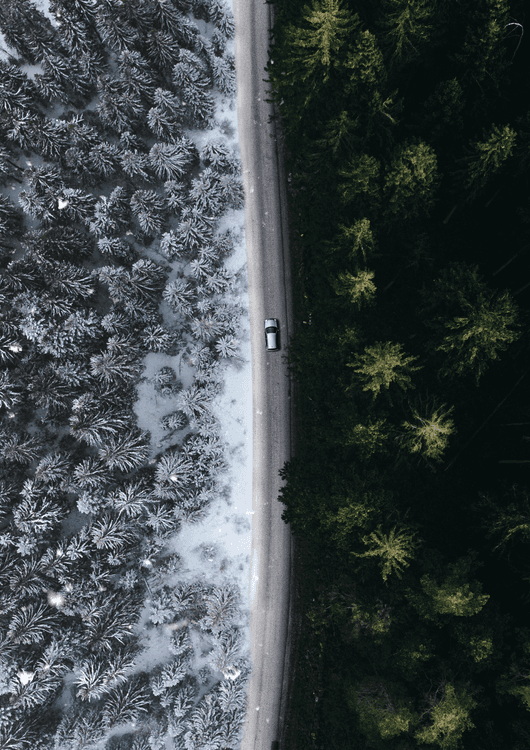 Winter Summer preview