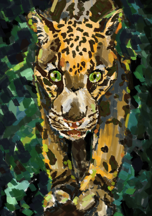 Wild preview