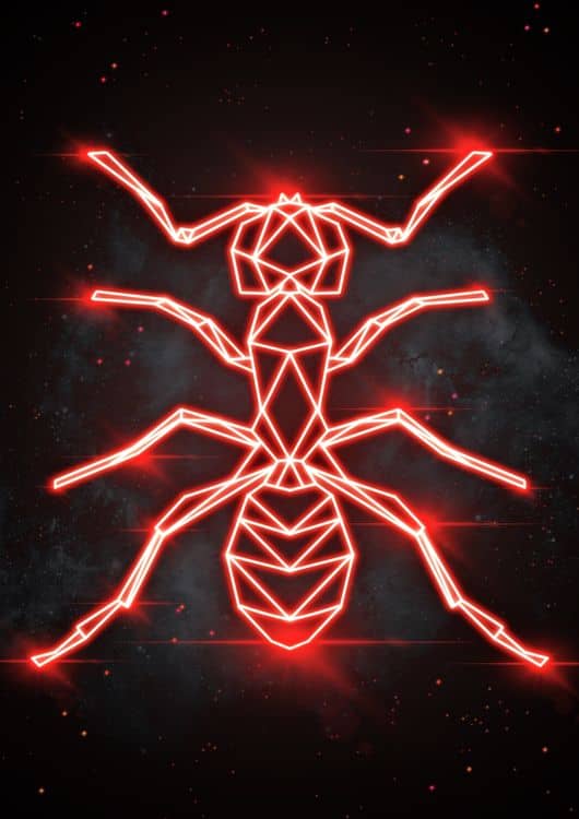 ANT preview