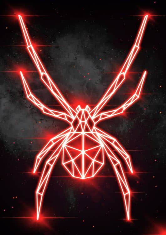 SPIDER preview