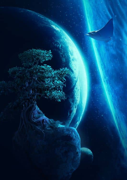 Stingray and the Tree preview