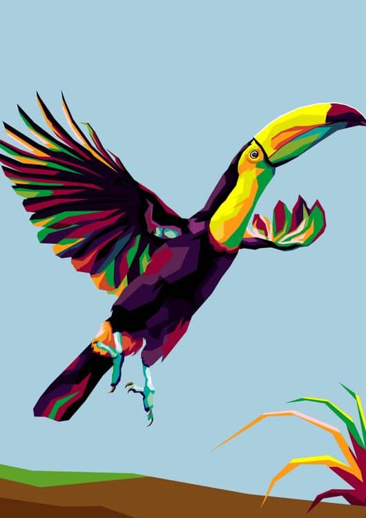 Bird exotic Toucan in wpap illustration preview