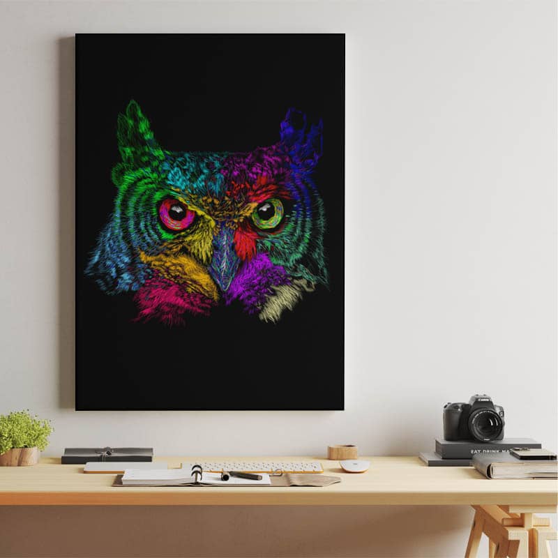 Owl preview