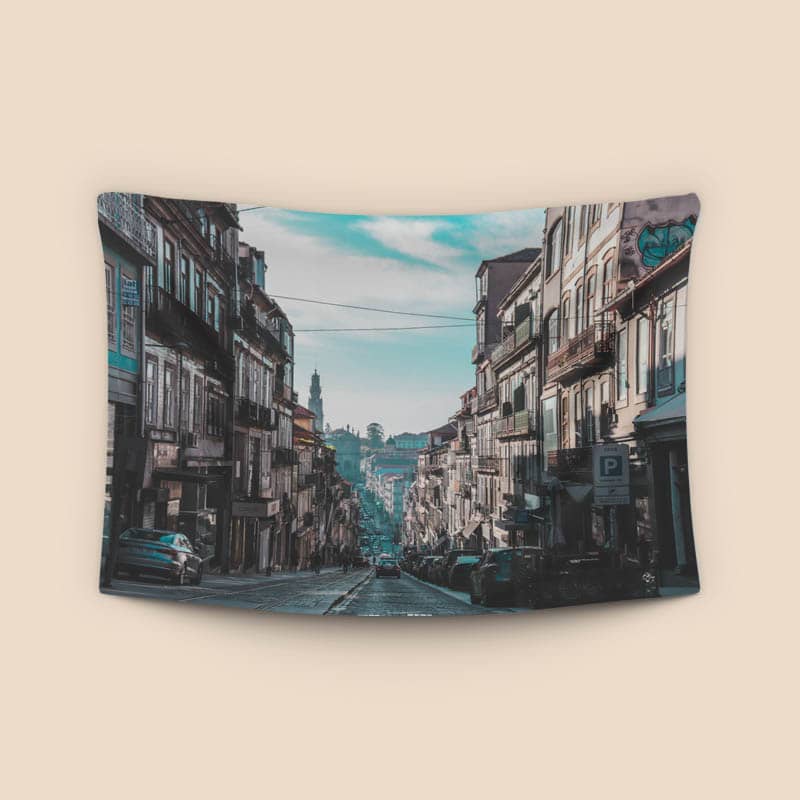 Oporto cityscape preview