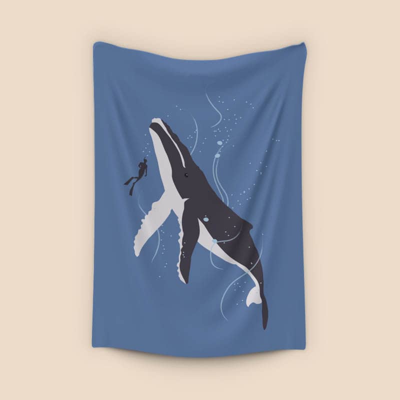 Humpback Whale and Human preview