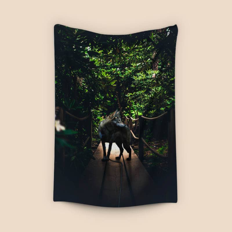 Photogenic wolf preview