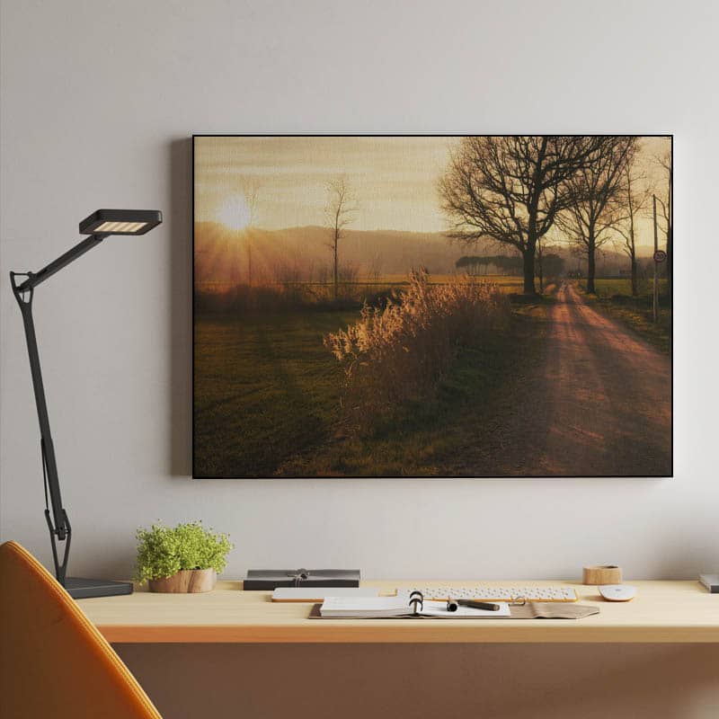 Rural road to Senfores, Malla, Catalonia preview