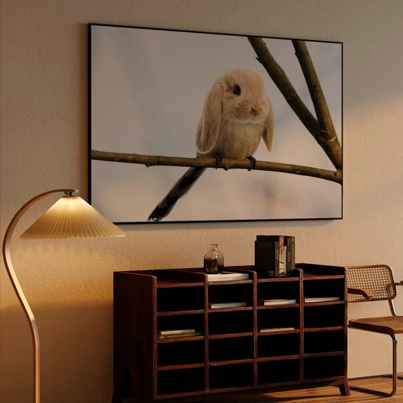 Burb preview