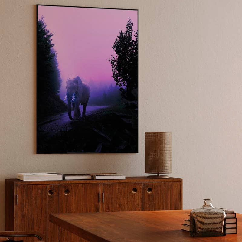 Elephant preview