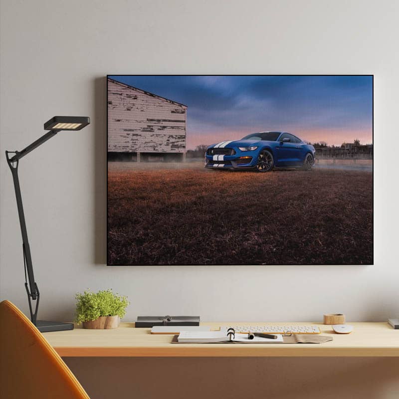 Ford Mustang Shelby GT350 preview