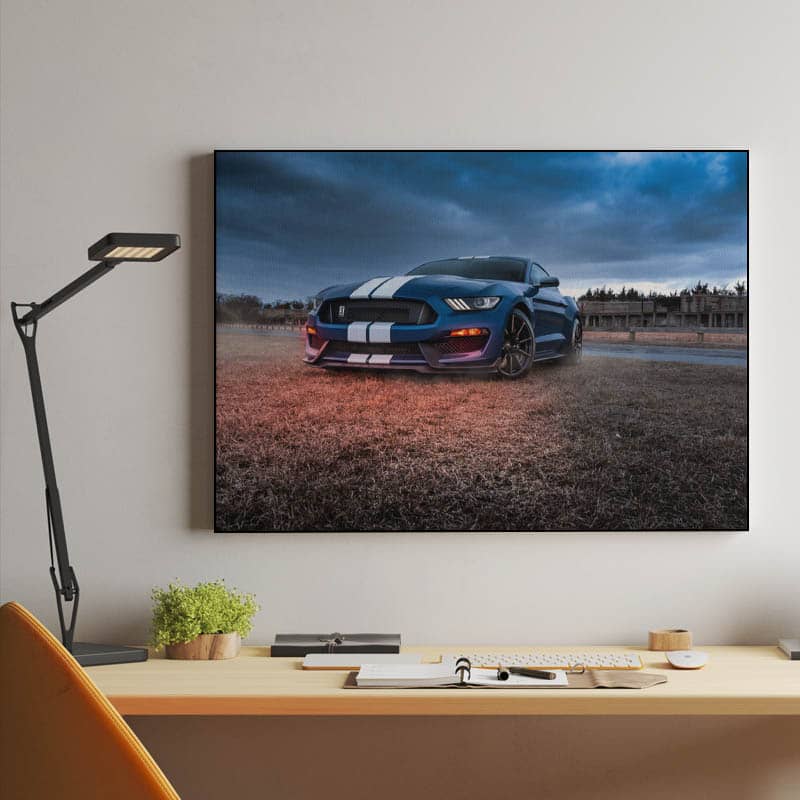 Ford Mustang Shelby GT350 preview