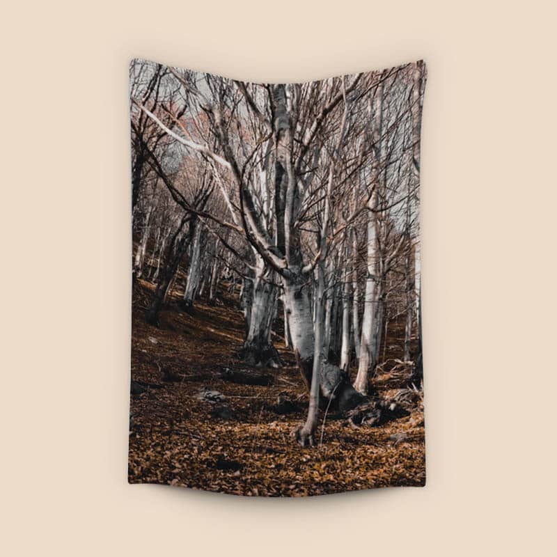 Forest preview