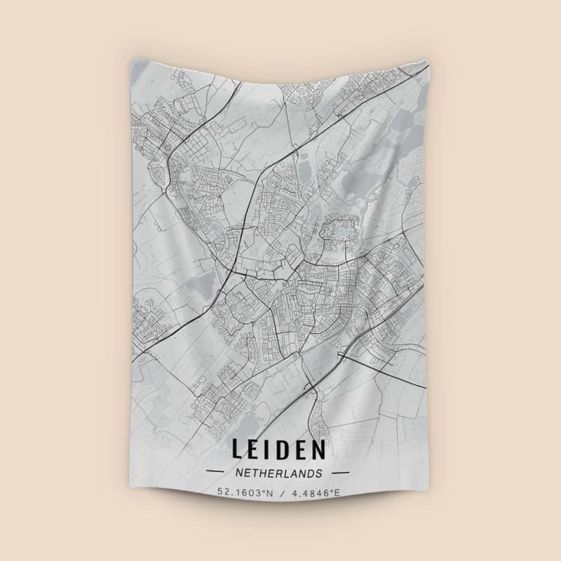 Leiden map preview