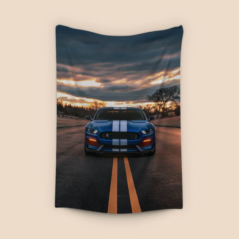 Ford Mustang Shelby GT350 preview