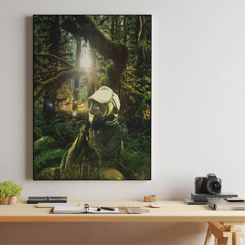 Take the Trails preview