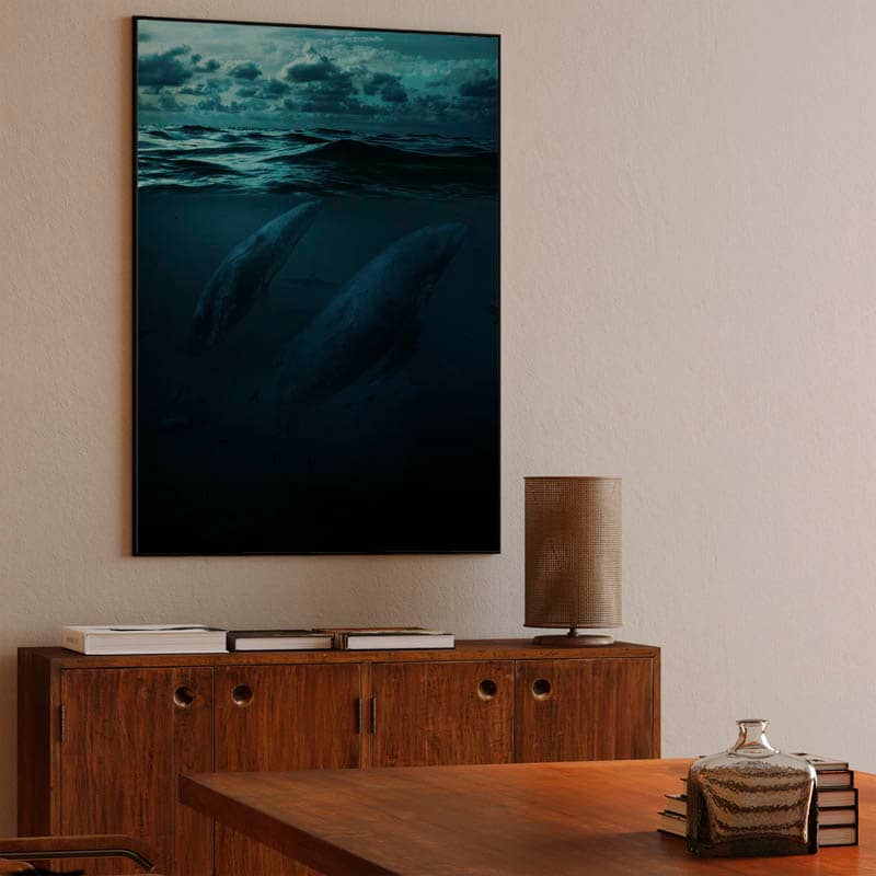 Whales in big ocean preview