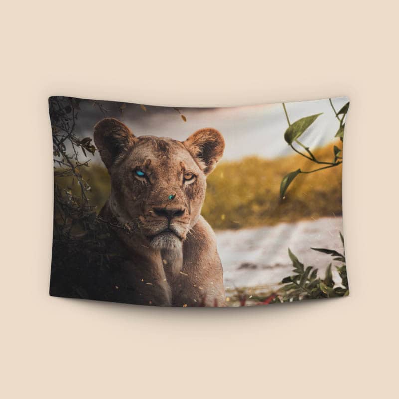 Wounded Lion preview
