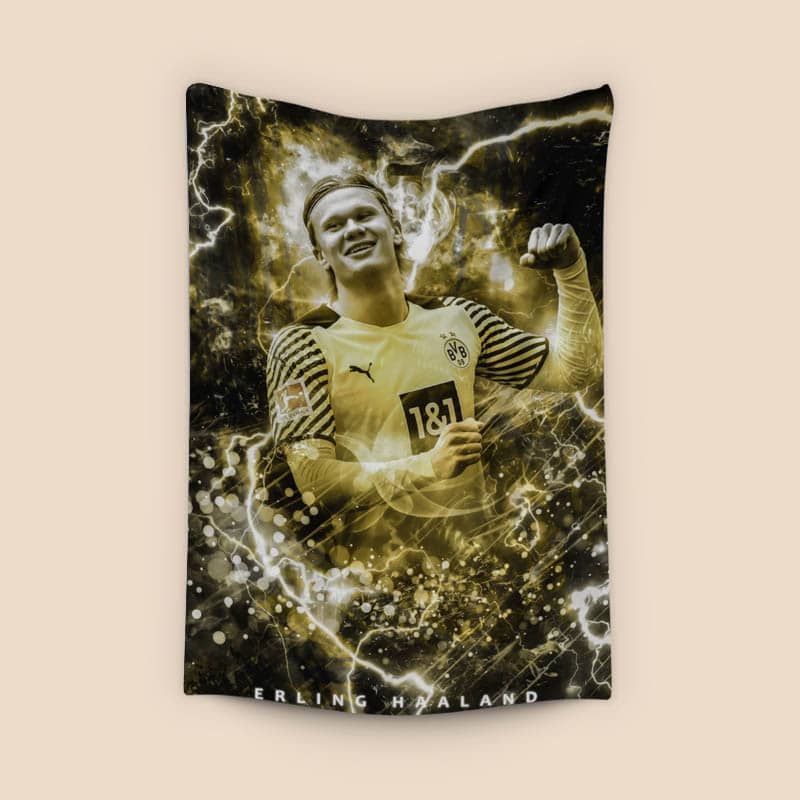 Erling Haaland preview