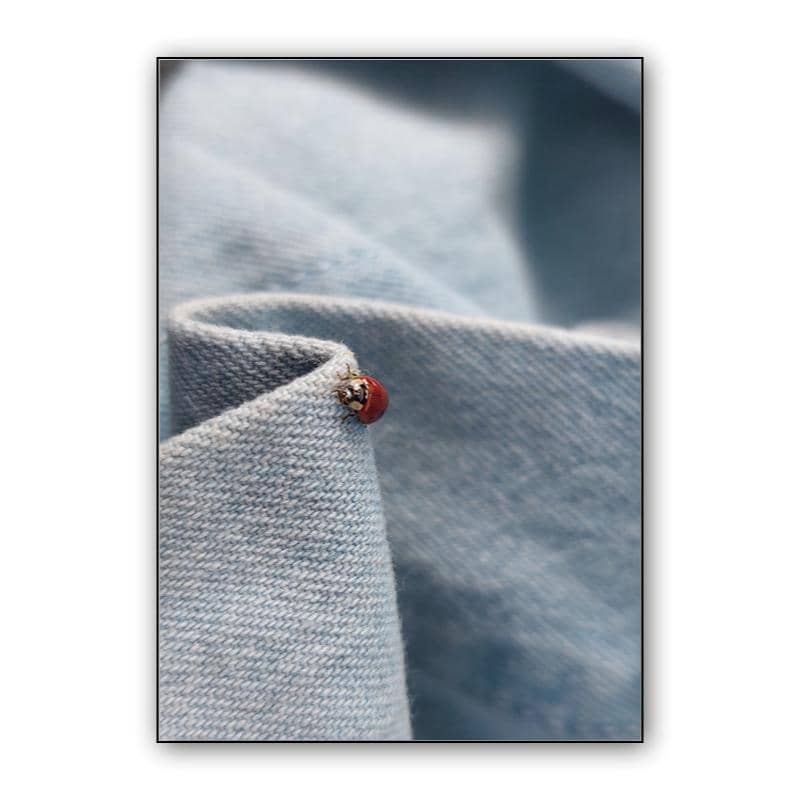 Ladybug preview