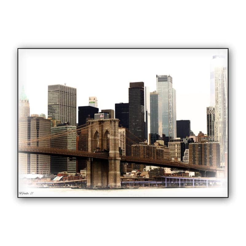 'Concrete Jungle' preview