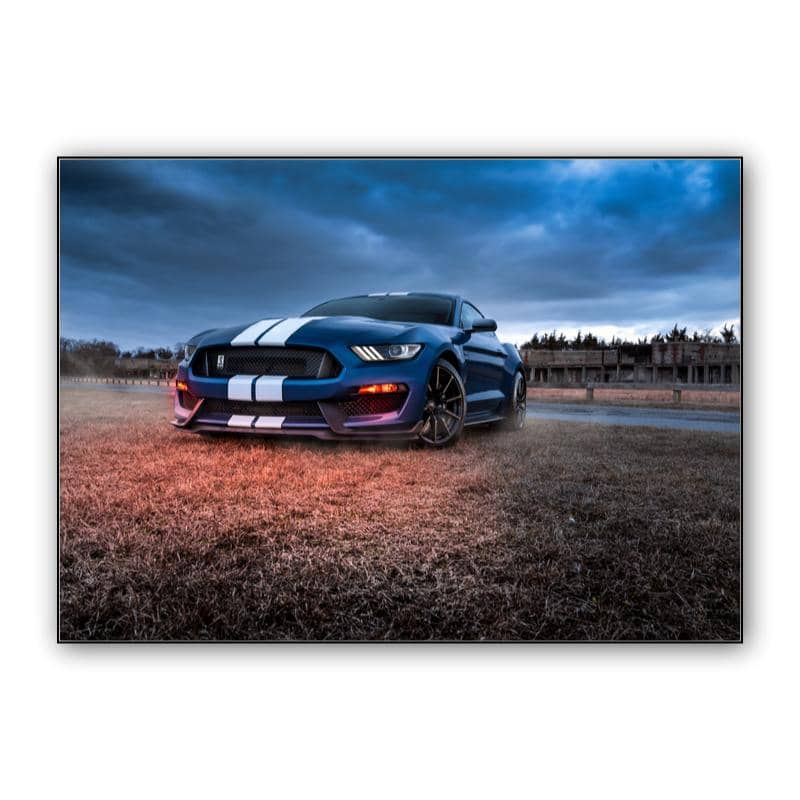 Ford Mustang Shelby GT350 preview