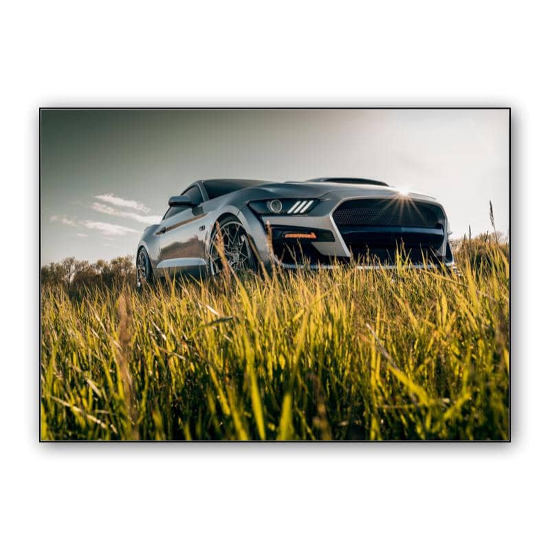 Ford Mustang GT preview